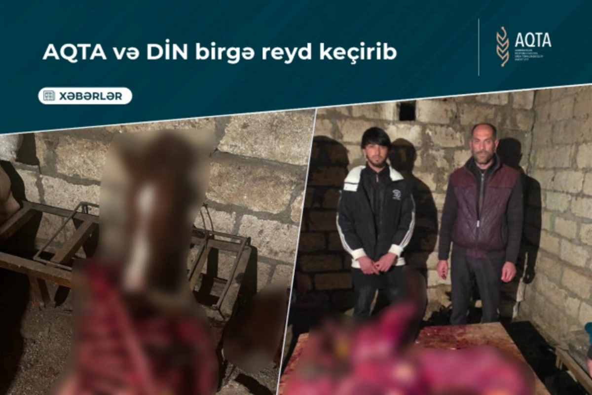 Tərtərdə 150 kq-a yaxın yararsız at ətinin satışa çıxarılmasının qarşısı alınıb