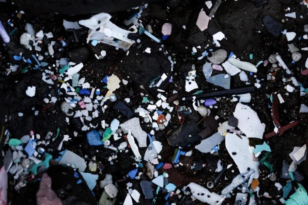 Okeanın hər qatında mikroplastik tapılıb