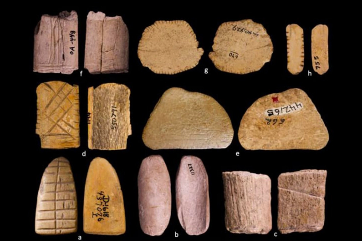 Новая находка ученых изменила представление об истории азартных игр