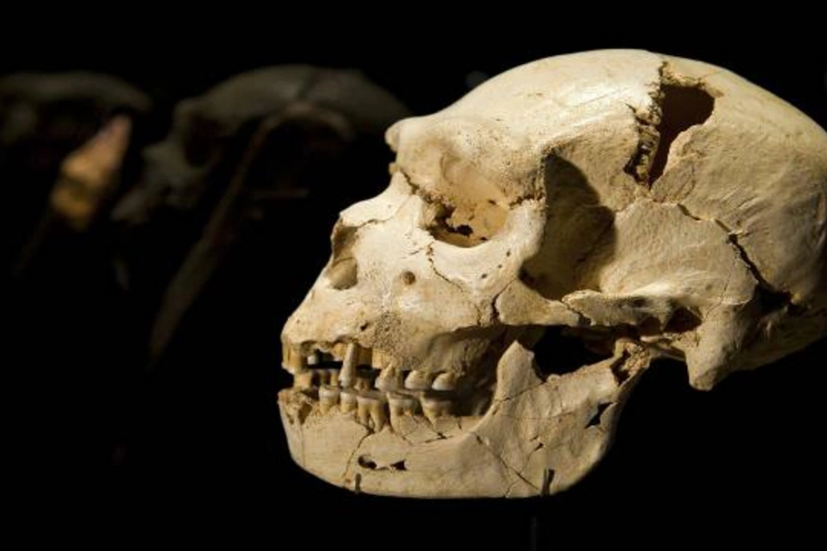 Evindən 100-dən çox insan kəllə sümüyü tapıldı