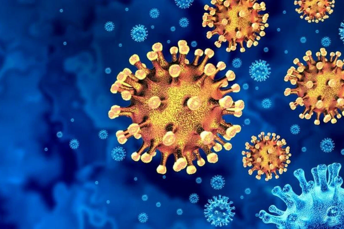 İnsan üçün ciddi risk sayılan 36 virus tapıldı - Çindən daha bir pandemiya gəlir? İnsan üçün ciddi risk sayılan 36 virus tapıldı - Çindən daha bir pandemiya gəlir?