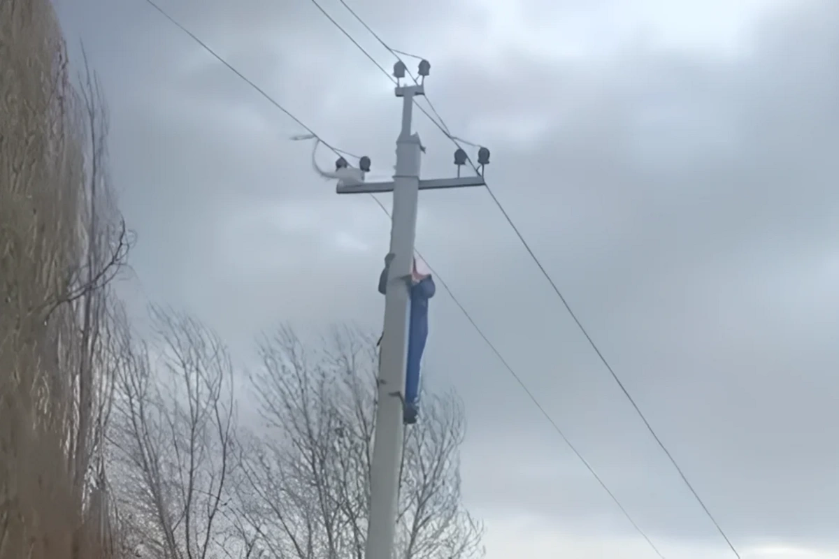 Güclü külək bəzi ərazilərdə fəsadlara səbəb oldu