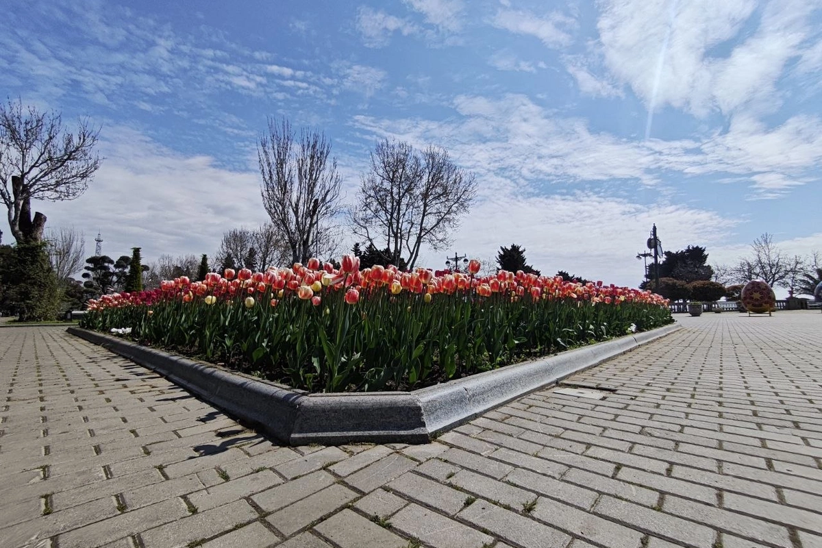 Завтра в Азербайджане будет 22° тепла