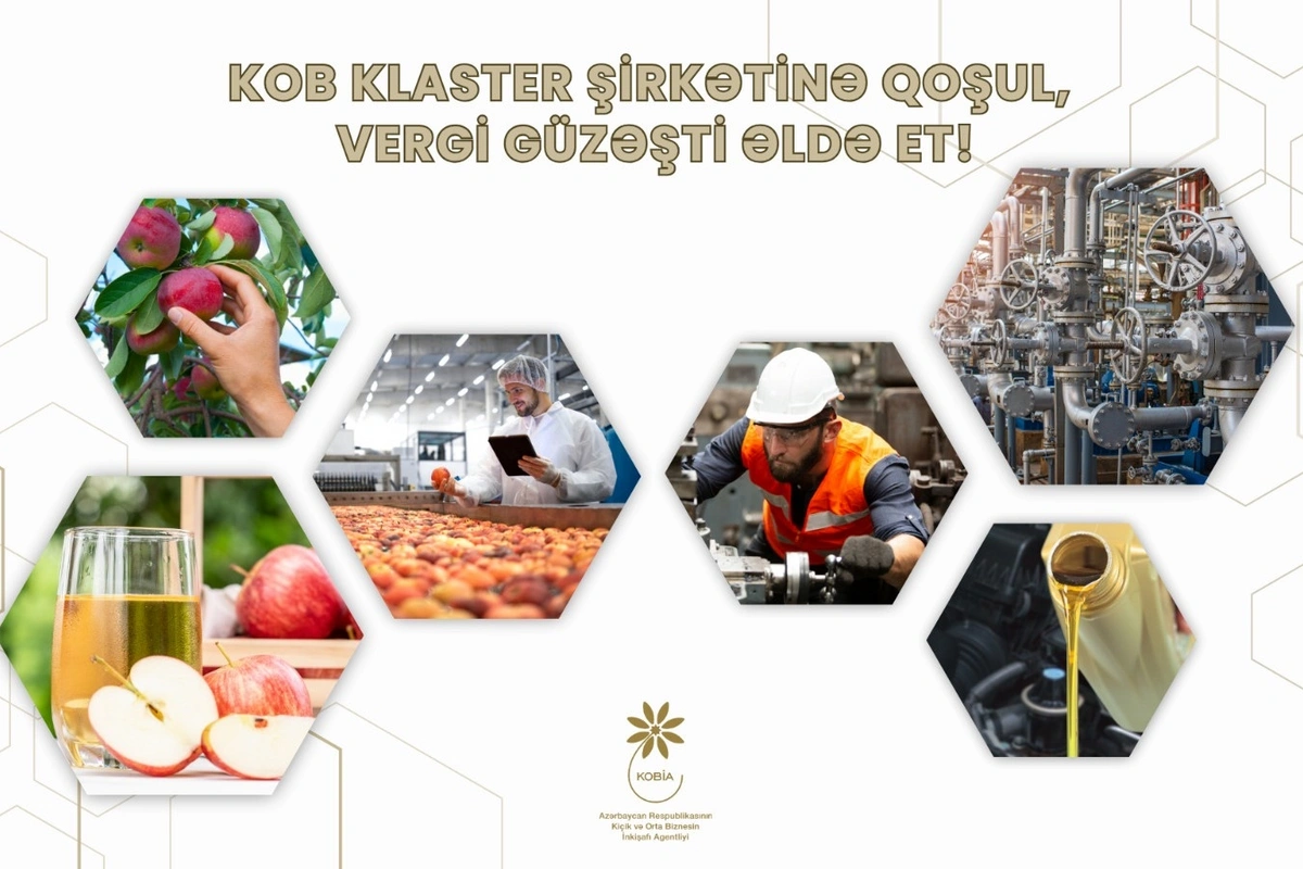 KOB klasterin iştirakçısı olmaq istəyən subyektlərin NƏZƏRİNƏ KOB klasterin iştirakçısı olmaq istəyən subyektlərin NƏZƏRİNƏ