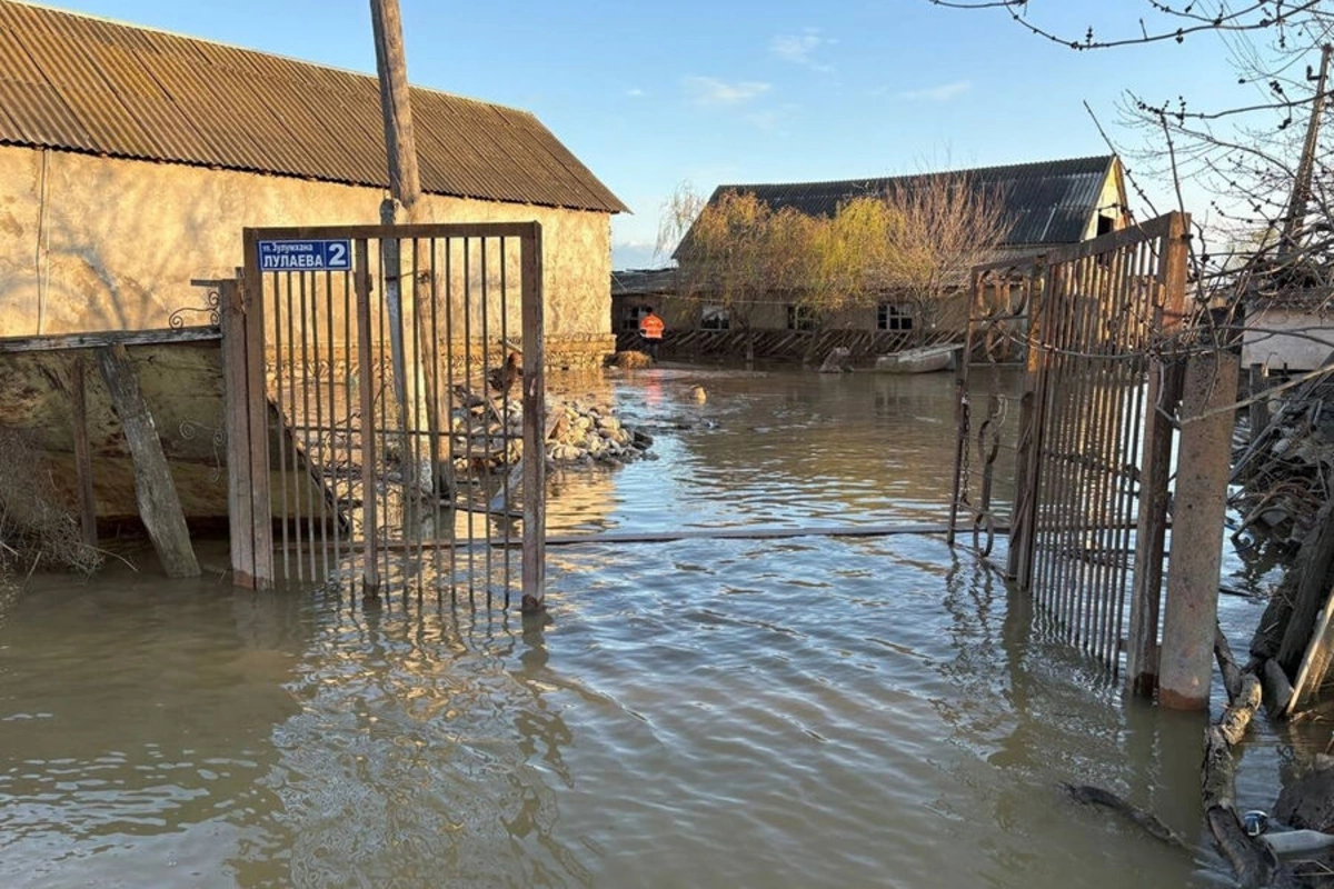 Dağıstanda daşqınlar kənd təsərrüfatına ciddi ziyan vurub