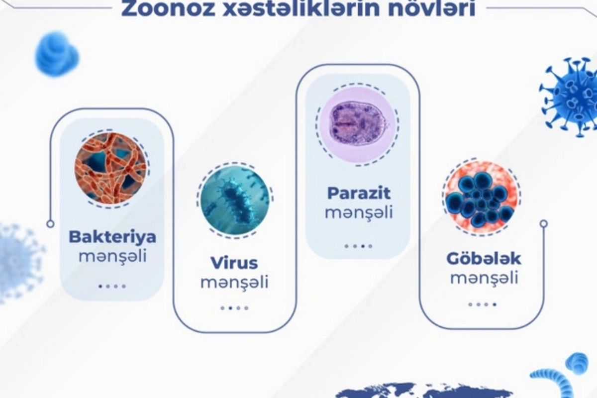 Heyvanlardan insanlara ən çox keçən xəstəliklər - SİYAHI