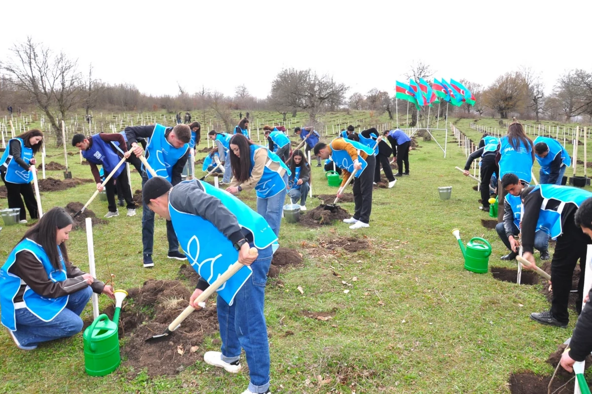 IDEA Gədəbəydə kütləvi ağacəkmə aksiyası təşkil edib