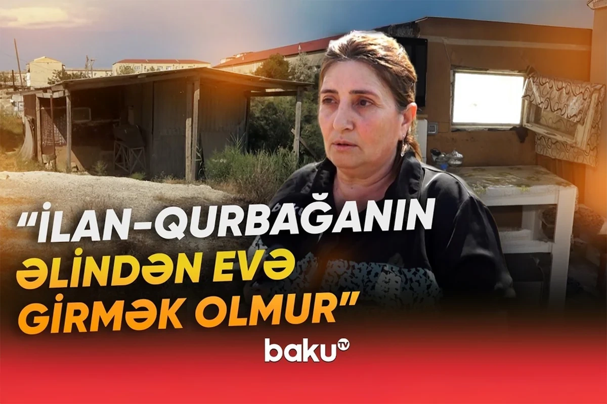 Məcburi köçkün ailəsi çətin vəziyyətdə: Evə ilan-qurbağa girir