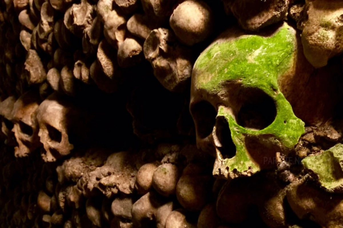 The Island of the Dead in Paris - What the Catacombs Hide The Island of the Dead in Paris - What the Catacombs Hide