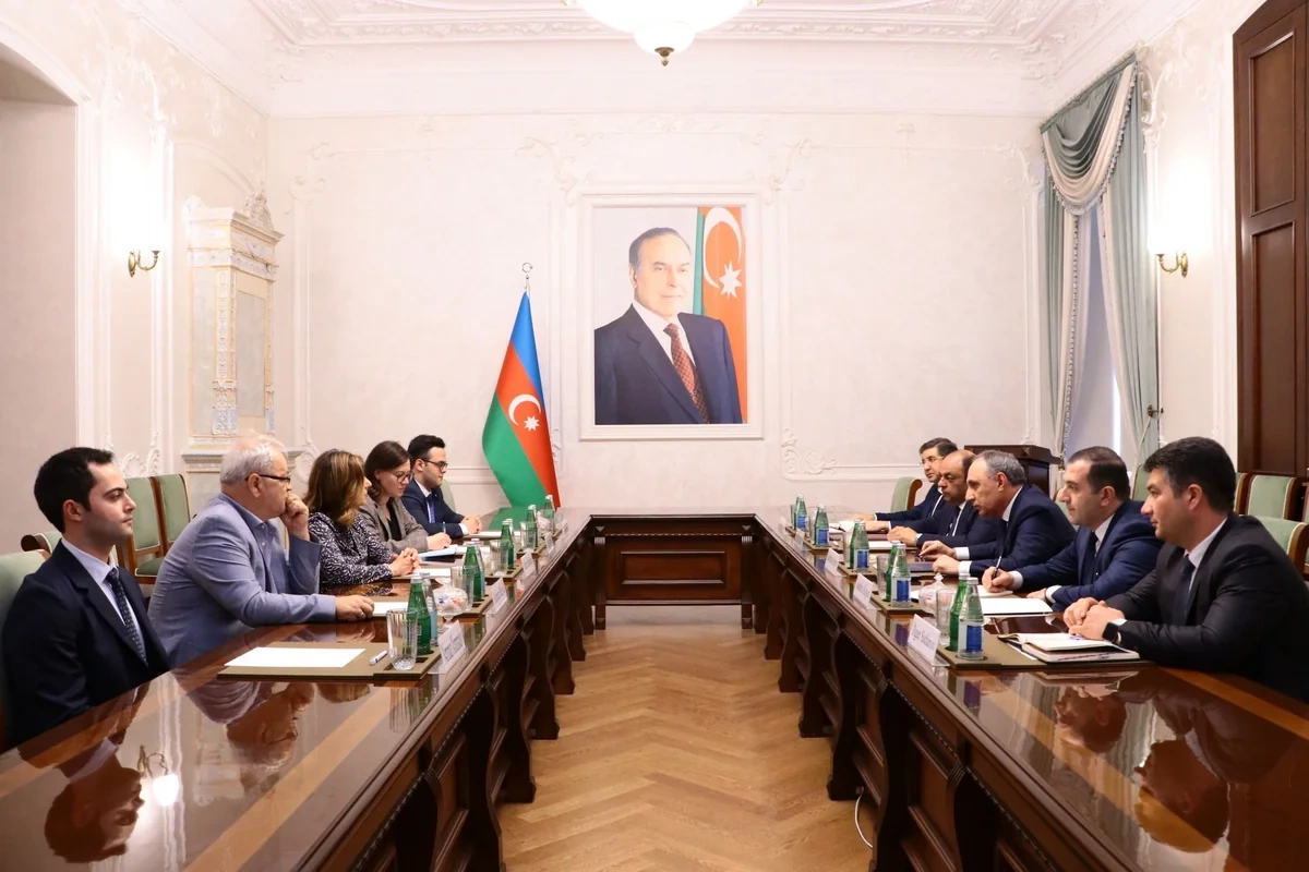 Kamran Əliyev İtkin düşmüş şəxslər üzrə Beynəlxalq Komissiyanın baş direktoru ilə görüşüb
