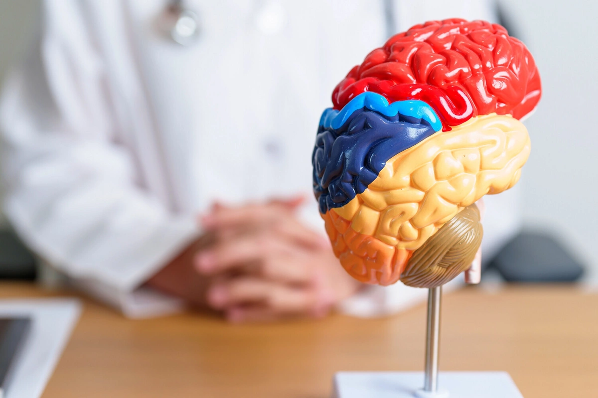 Scientists have discovered a new organ hidden in the skull