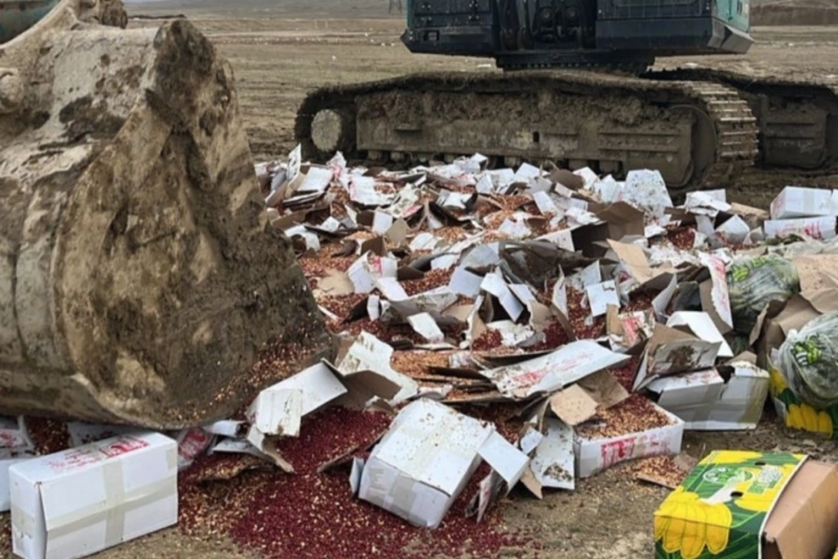 Uyğunsuzluq aşkarlanan araxis məhsulunun satışa çıxarılmasının qarşısı alınıb