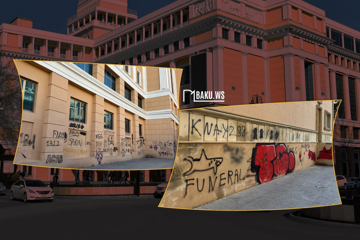 Şəbnəm Həsənova: Bu, sadəcə rəsm deyil, yanlış mesajdır