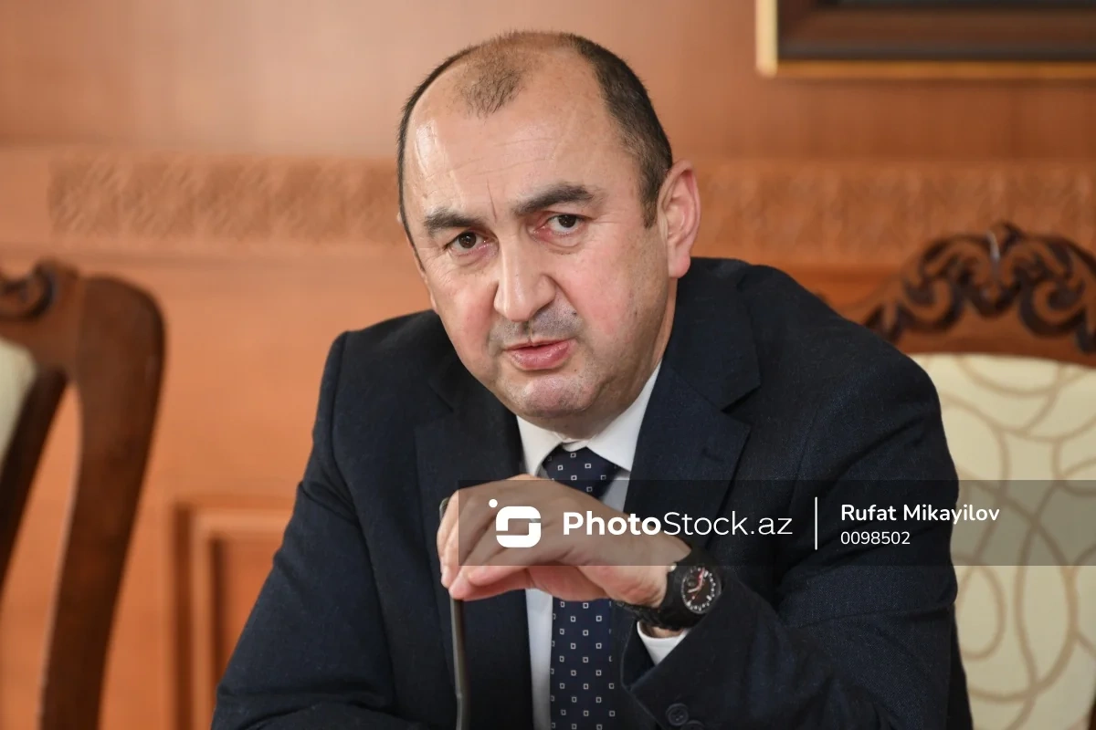 Nazir müavini: 2060-cı ilə qədər plastik tullantıların həcmi üç dəfə arta bilər