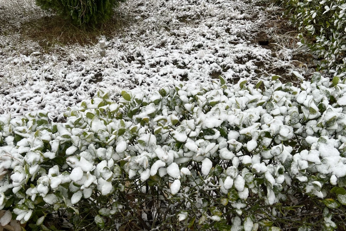 Sabah Bakı və rayonlara qar yağacaq - PROQNOZ