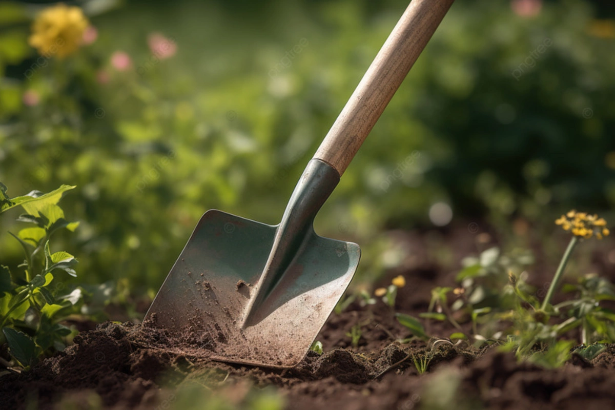 В Баку жена избила мужа лопатой