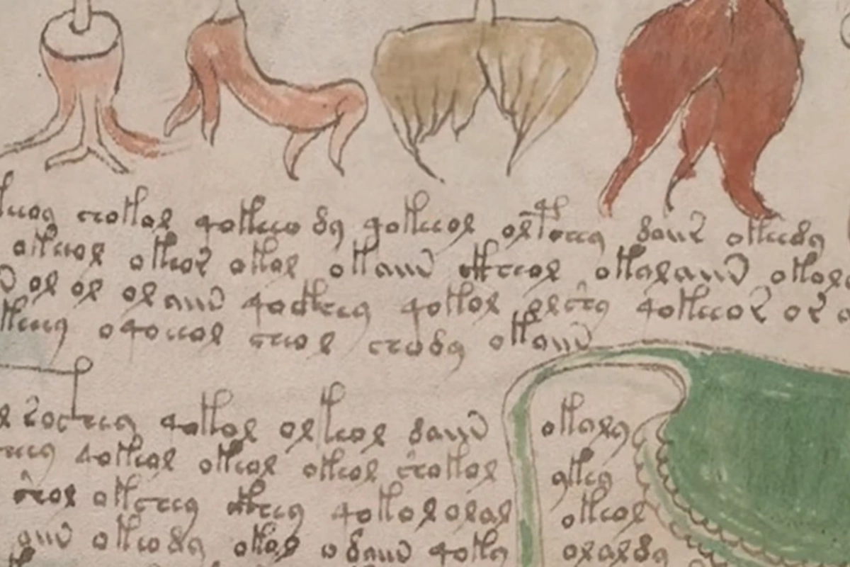 Dünyanın ən sirli kitabı: Voyniç manuskriptinin 500 illik açılmayan şifrəsi