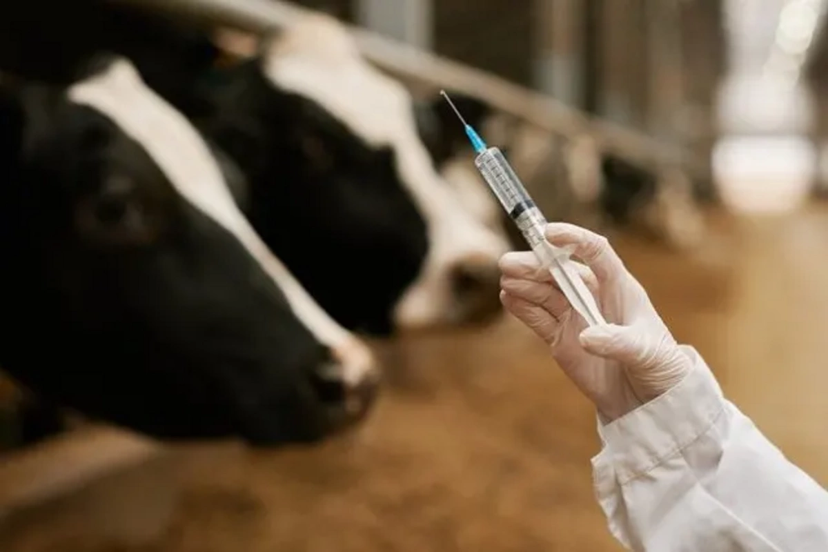 Turkey closes all markets due to dangerous infection