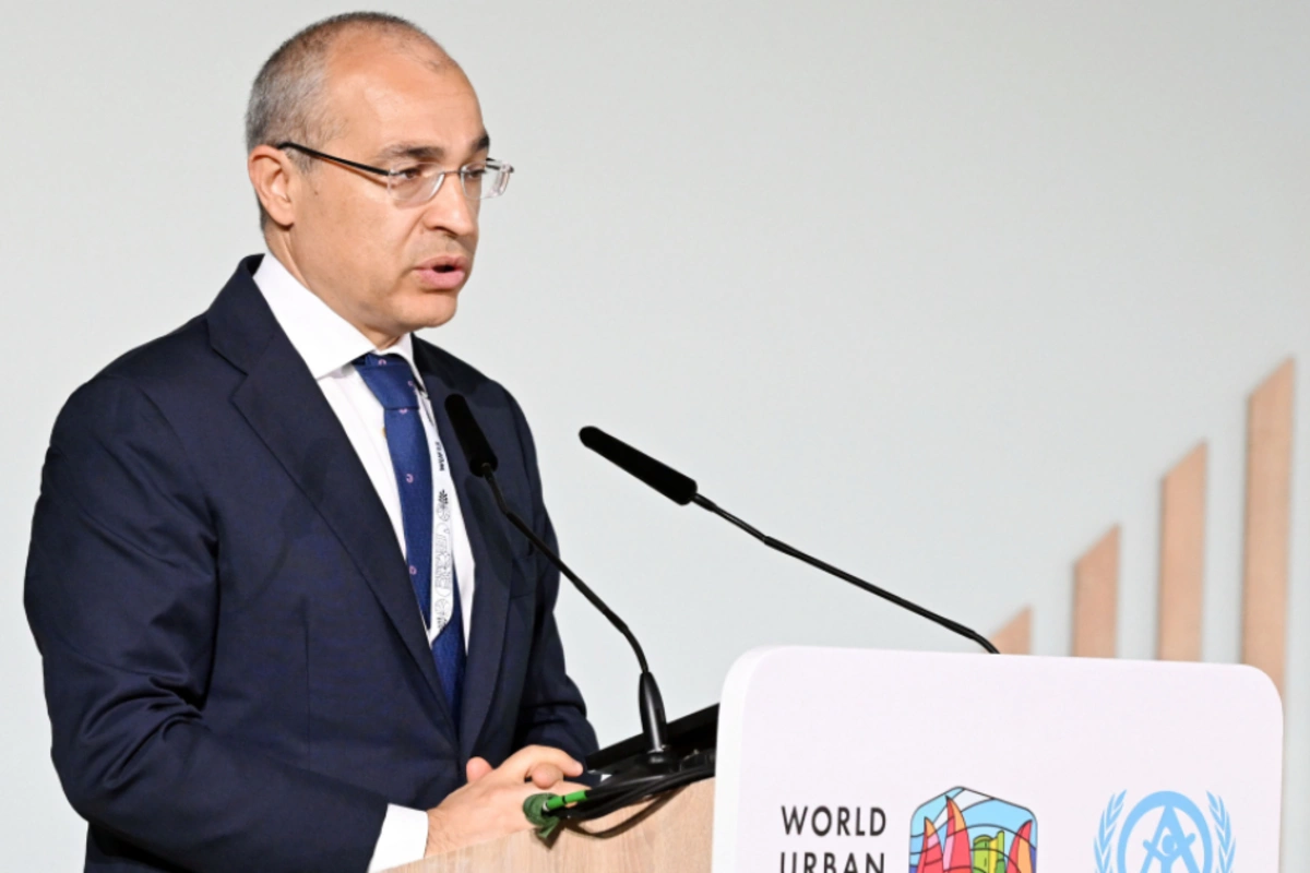 Mikayıl Cabbarov: Əhalinin kütləvi şəkildə didərgin düşməsi ölkə üçün ciddi çağırışlar yaratdı
