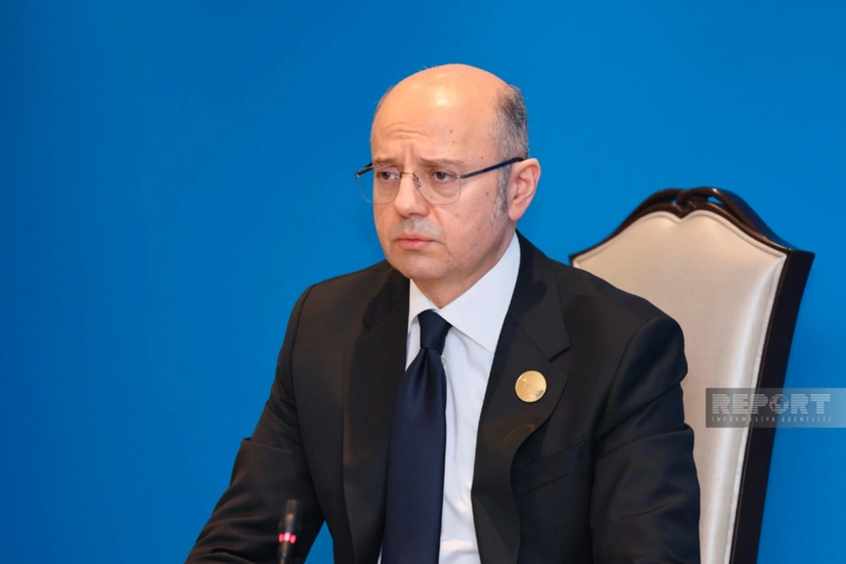 Parviz Shahbazov: Over 54 billion cubic meters of Azerbaijani gas supplied to Europe via TAP