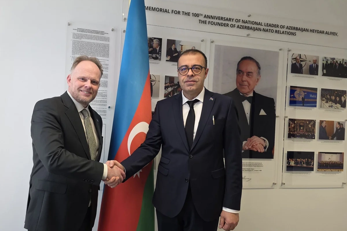 Hüseynzadə və Hamilton Azərbaycan-NATO tərəfdaşlığının perspektivlərini müzakirə ediblər