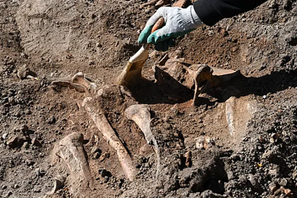 Mass grave discovered in Germany