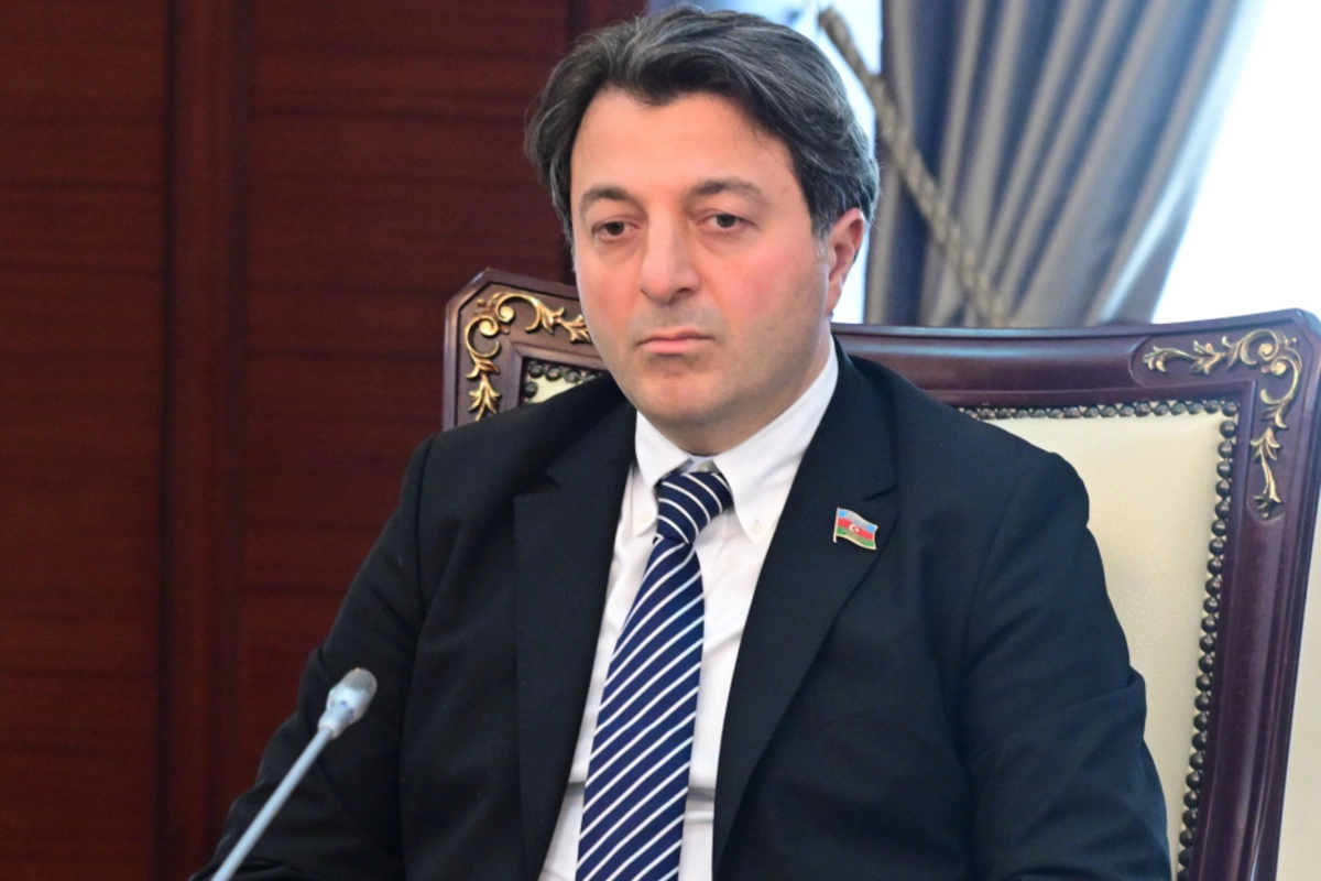 Tural Gəncəliyev: Qərb ölkələri islamofobiyanı yerli sakinlərə sırıyırlar Tural Gəncəliyev: Qərb ölkələri islamofobiyanı yerli sakinlərə sırıyırlar