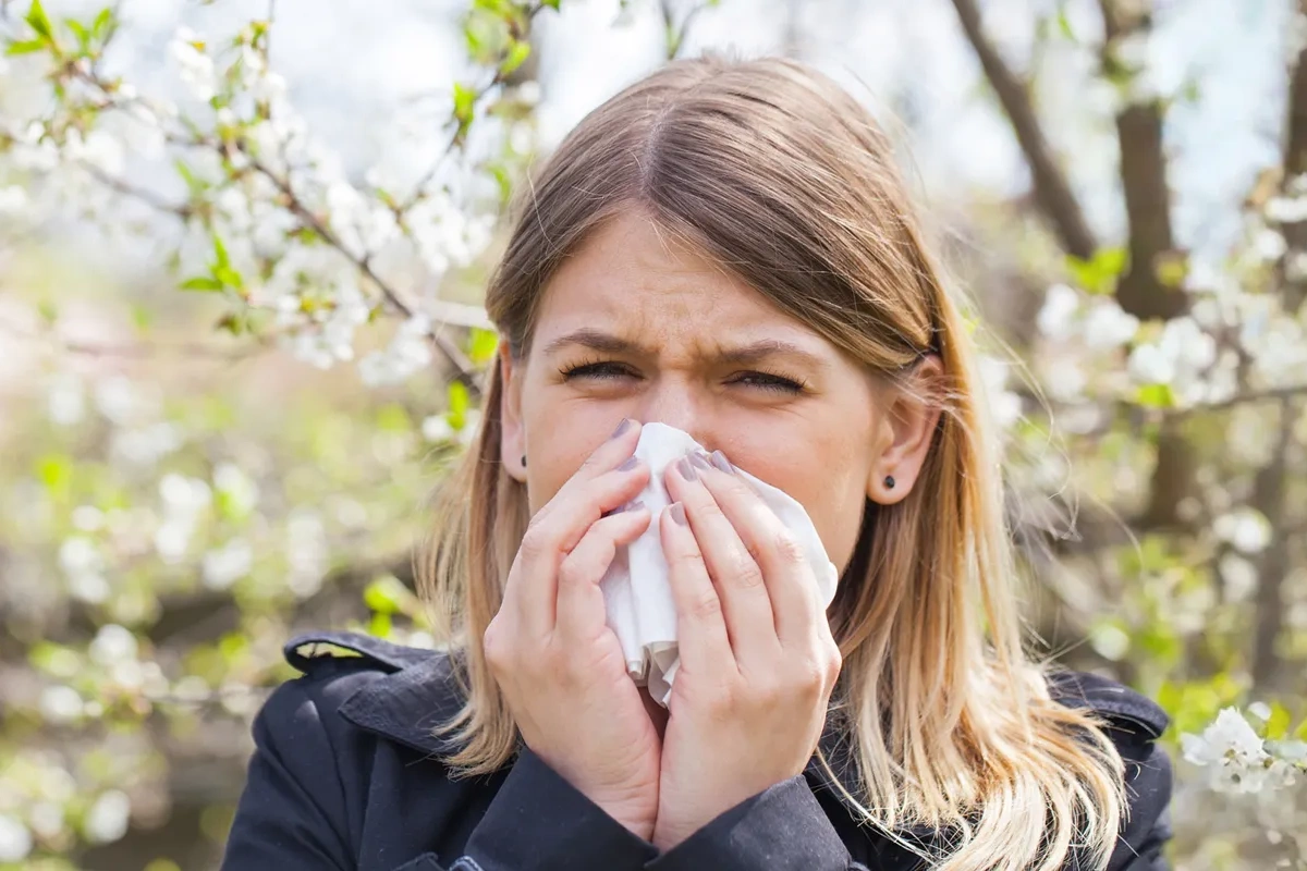 Mövsümi allergiya ilə soyuqdəyməni necə ayırd etməliyik?