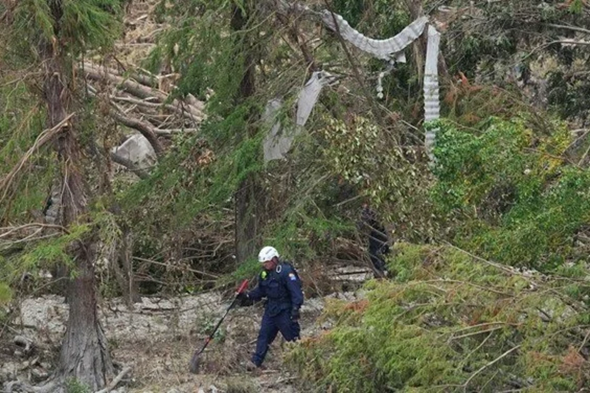 115 milyon il əvvələ aid dinozavrın ayaq izləri aşkarlandı 115 milyon il əvvələ aid dinozavrın ayaq izləri aşkarlandı