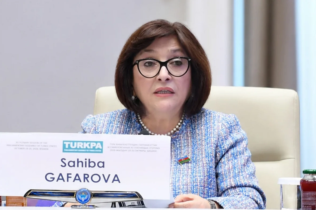 Sahibə Qafarova TÜRKPA-nı gənclər siyasətini gücləndirməyə çağırıb