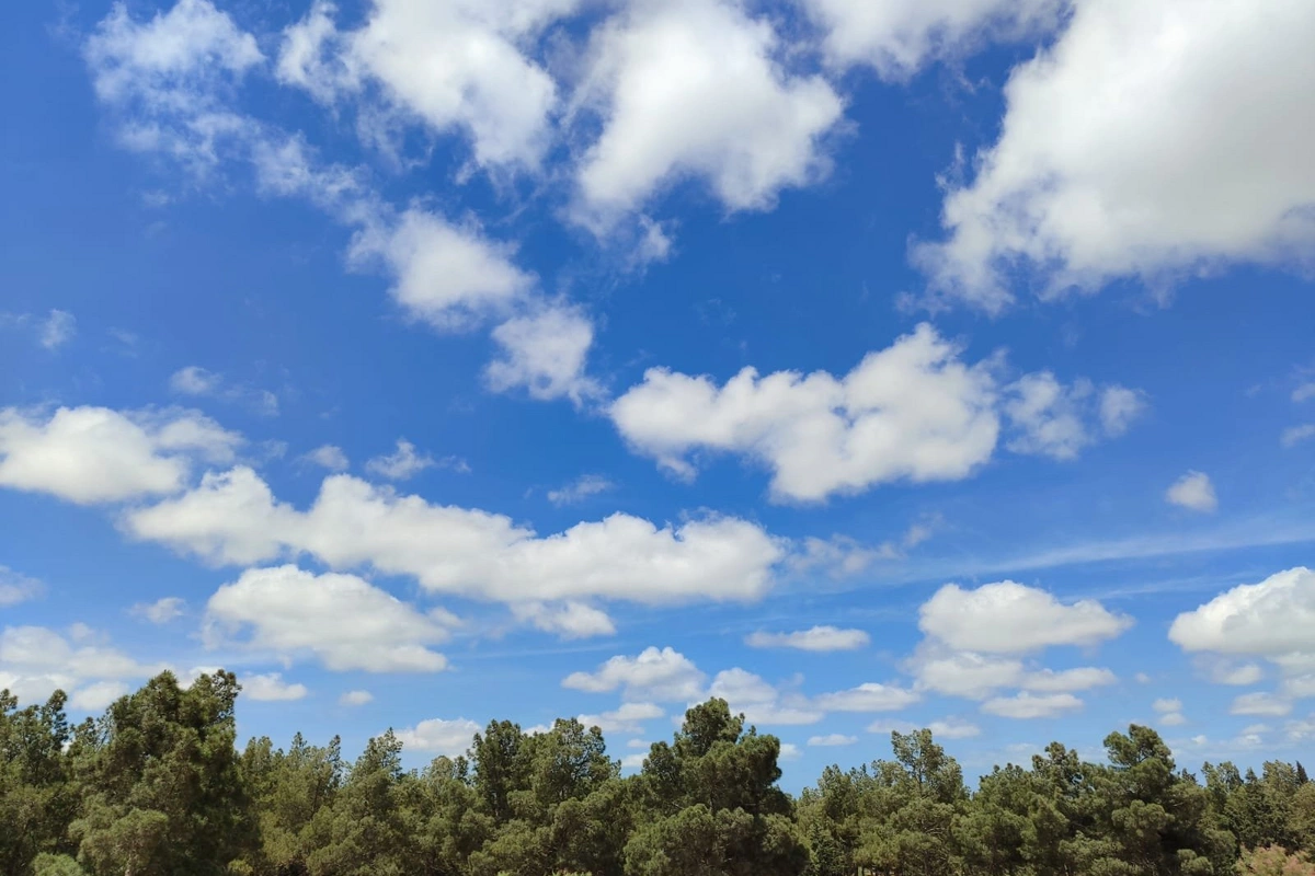 Havanın temperaturu 18 dərəcəyədək yüksələcək - PROQNOZ