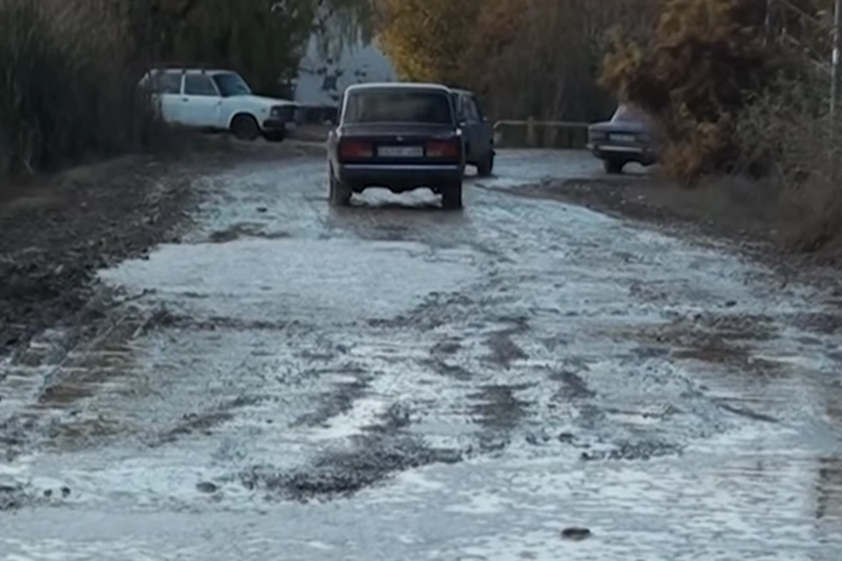 В Зардабе: беременные вынуждены рожать дома - ПРИЧИНЫ