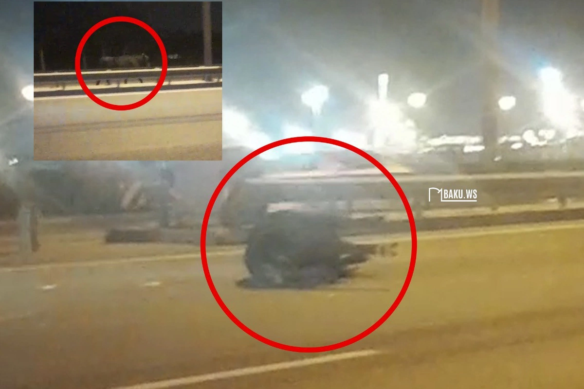 Aeroport yolunda TƏHLÜKƏ - Qəfl yola çıxan öküzü maşın VURDU