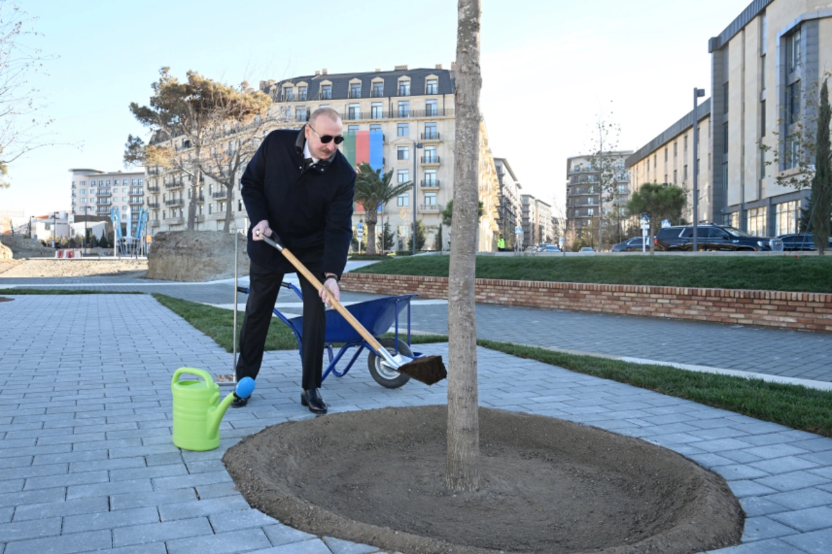 Parkdakı ilk palıd ağacını Prezident əkdi