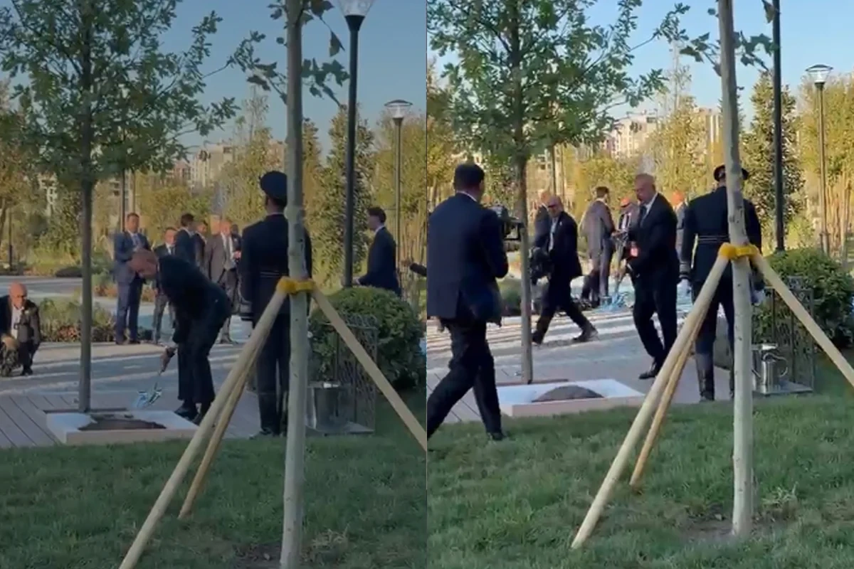 İlham Əliyev və Şavkat Mirziyoyev Yeni Daşkənddə ağac əkdilər