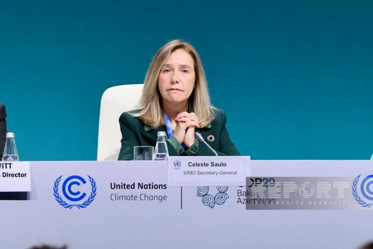 ÜMT-nin Baş katibi: COP29-da ölkələr NDC-də ambisiya göstərməlidirlər ÜMT-nin Baş katibi: COP29-da ölkələr NDC-də ambisiya göstərməlidirlər
