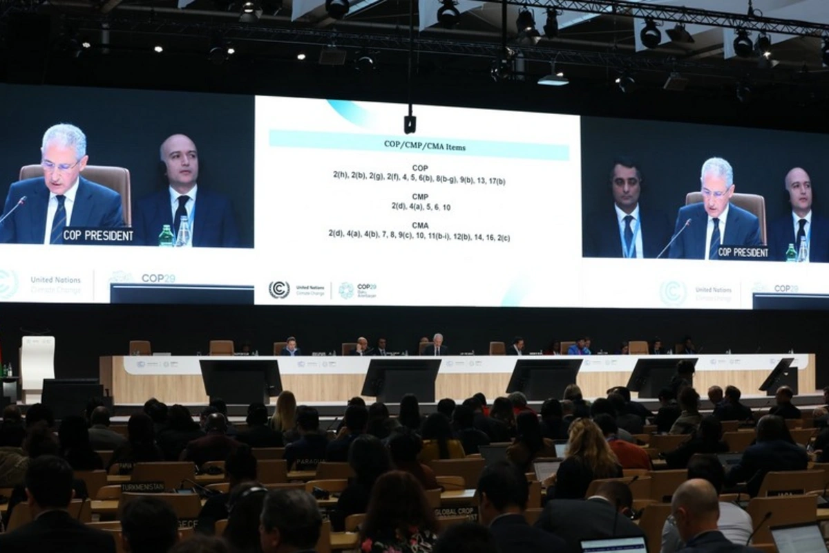 На COP29 утвердили выделение 300 млрд долларов ежегодного климатического финансирования На COP29 утвердили выделение 300 млрд долларов ежегодного климатического финансирования