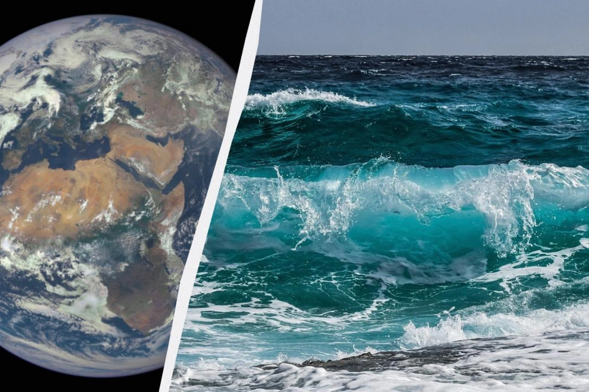 What will happen if all life in the ocean disappears? - A disturbing statement