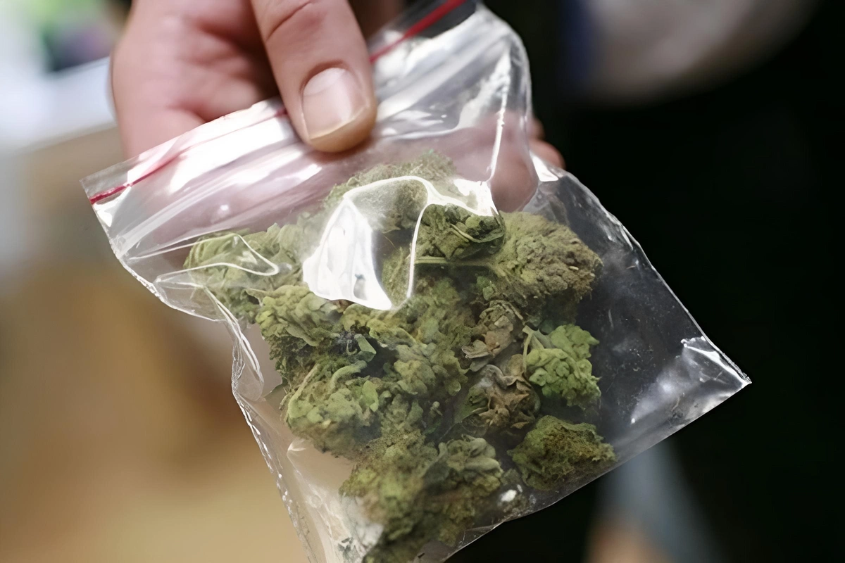 Qobustanda narkotikin təsiri altında avtomobil idarə edən sürücü saxlanıldı