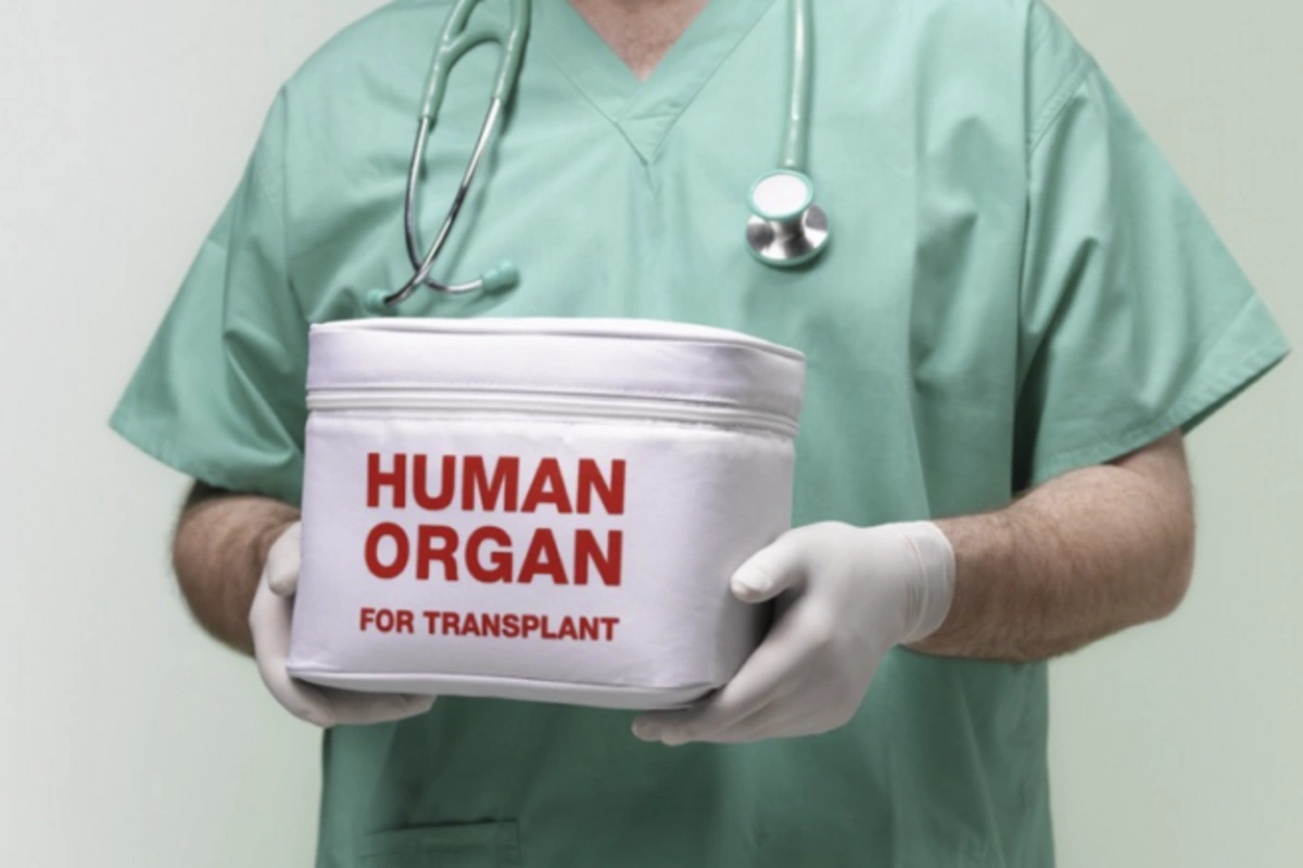 Dində insan öldükdən sonra donorluq etməsi günahdır? Dində insan öldükdən sonra donorluq etməsi günahdır?