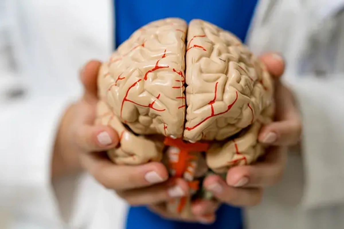 Beyni tam söndürmək mümkündürmü? – Alimlər açıqlayır