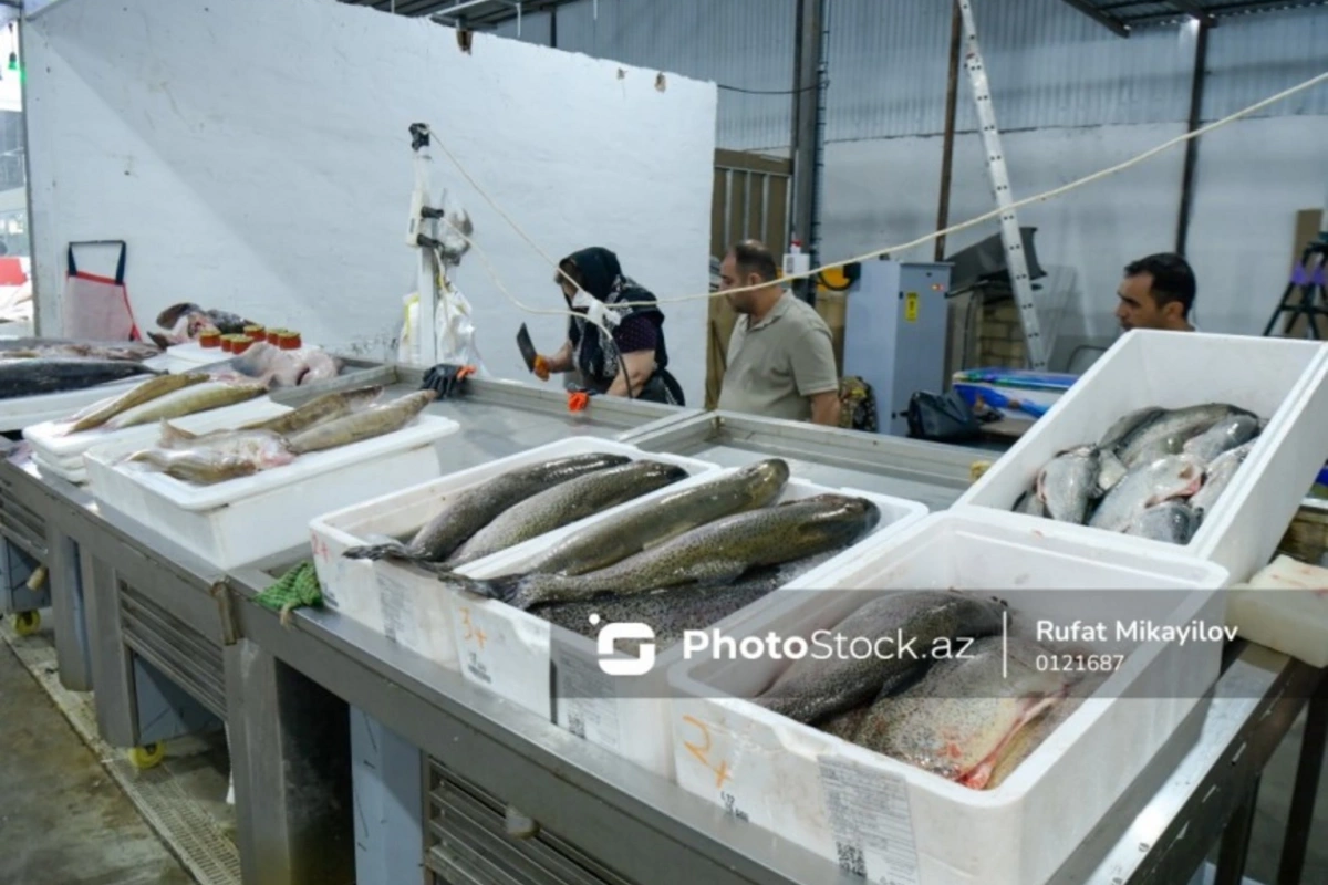 Balıq qıtlığı olacaq?