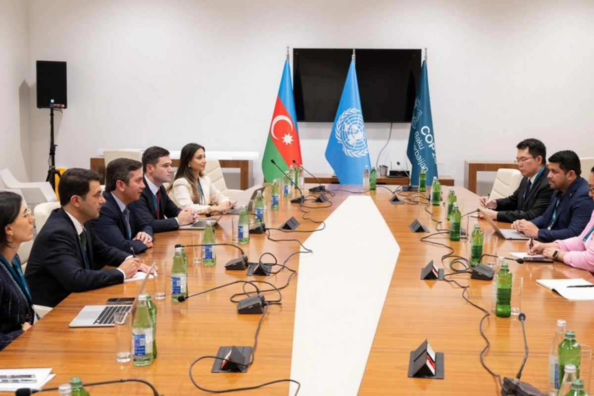 COP29-un baş danışıqçısı Kiçik Ada Dövlətləri Alyansının nümayəndələri ilə görüşüb COP29-un baş danışıqçısı Kiçik Ada Dövlətləri Alyansının nümayəndələri ilə görüşüb