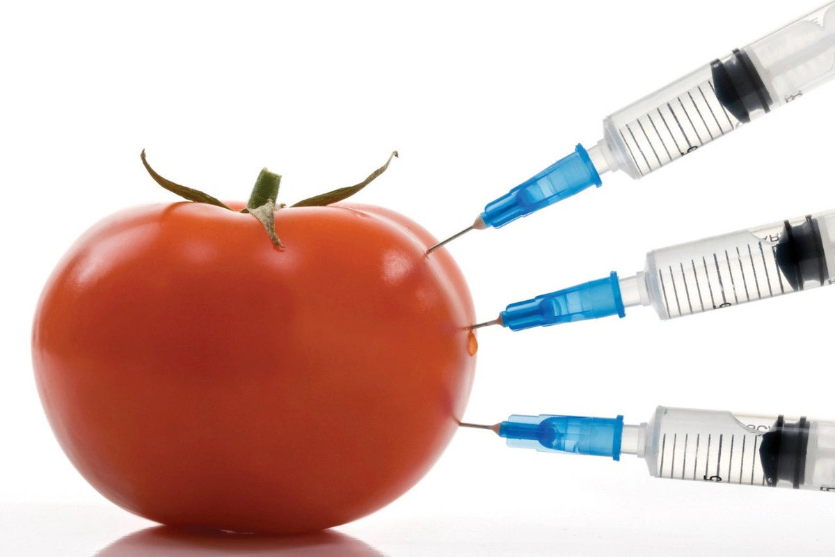 İrandan Azərbaycana gətirilən bu sıra məhsullarda GMO aşkarlanıb