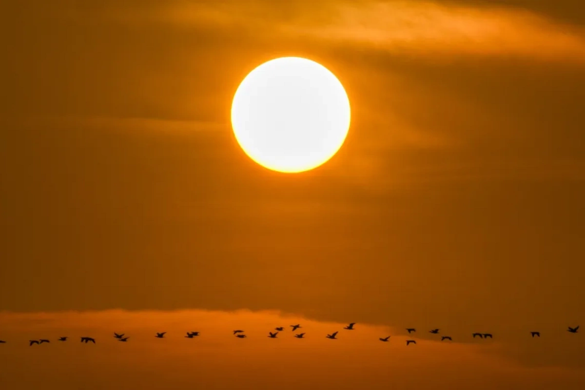 На Солнце обнаружили дыру жутких размеров: чем она опасна