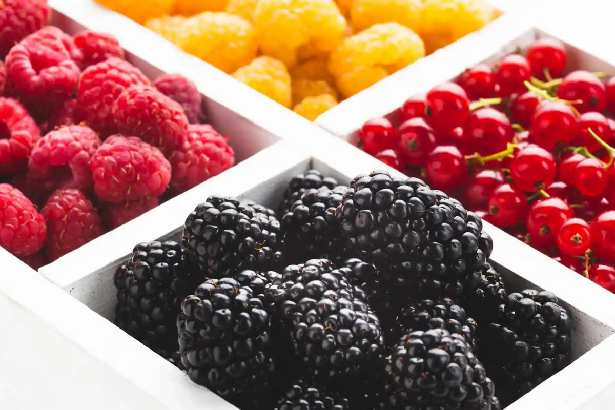 Listed blood vessel strengthening berries Listed blood vessel strengthening berries