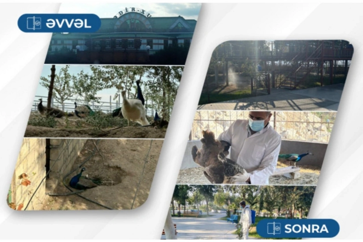 Qədir Xumdakı quşlarla bağlı tədbir görüldü