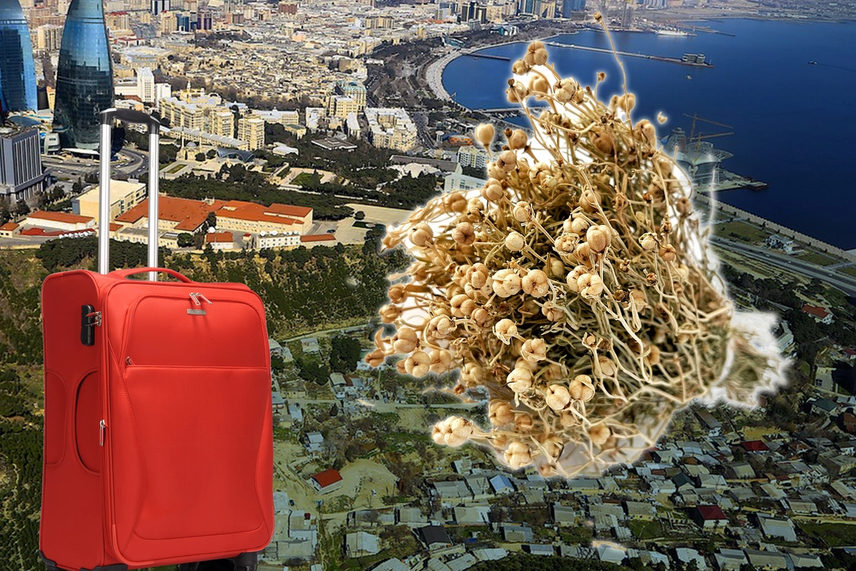 Xaricə gedən şəxslərə üzərlik XƏBƏRDARLIĞI - Saxlanıla bilərsiniz