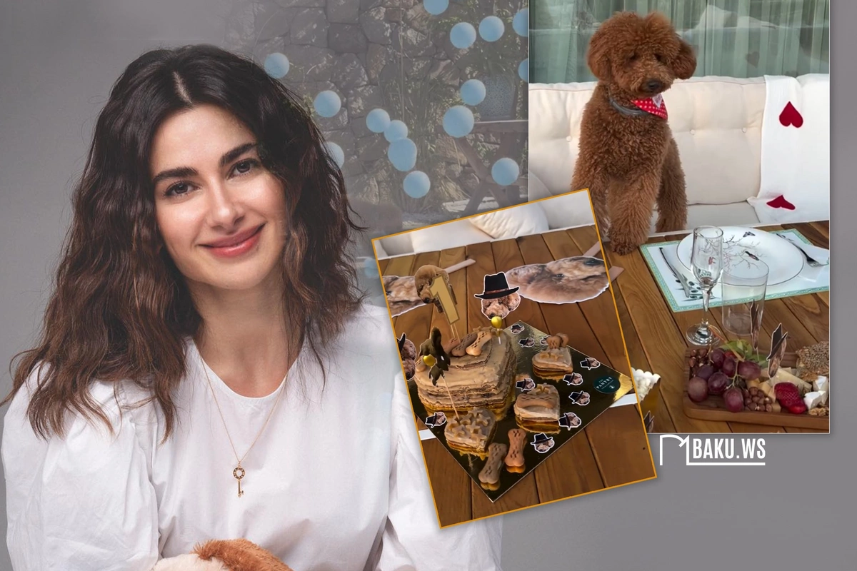 Nəsrin Cavadzadə iti Dolceyə ad günü keçirdi