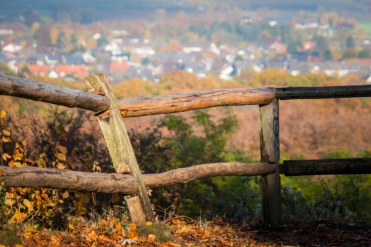 Bankda olan torpaq sahələri təcili satışa çıxarıldı - QİYMƏTLƏR
